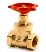  Brown USA Threaded Gate Valve  1 Inch  1 Each  BRGV003