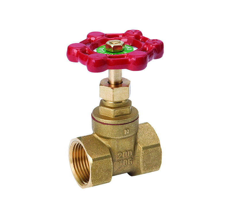 ProLine Gate Valve FIP 3/4x3/4 Inch Brass 1 Each 100-404NL | M&C Home Depot