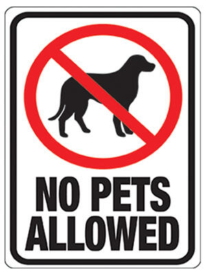 Hy-Ko No Pets Allowed Sign 9x12 Inch 1 Each 20616