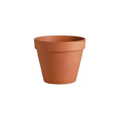 Standard Clay Pot 4 Inch Terracotta 1 Each 01110PZ