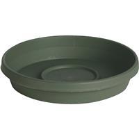  Bloem Flower Pot Saucer Plastic 8 Inch Green 1 Each 51408