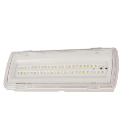 Lumicentro Emergency Lamp LED  6000K White 1 Each 10 21895-1
