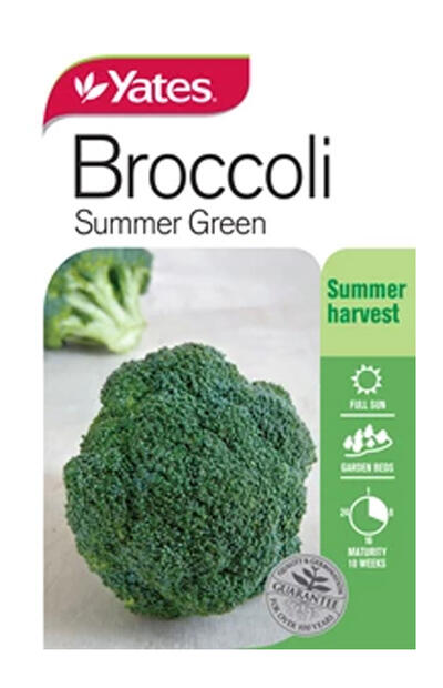  Yates Broccoli Summer King 1 Each 31265 VSD