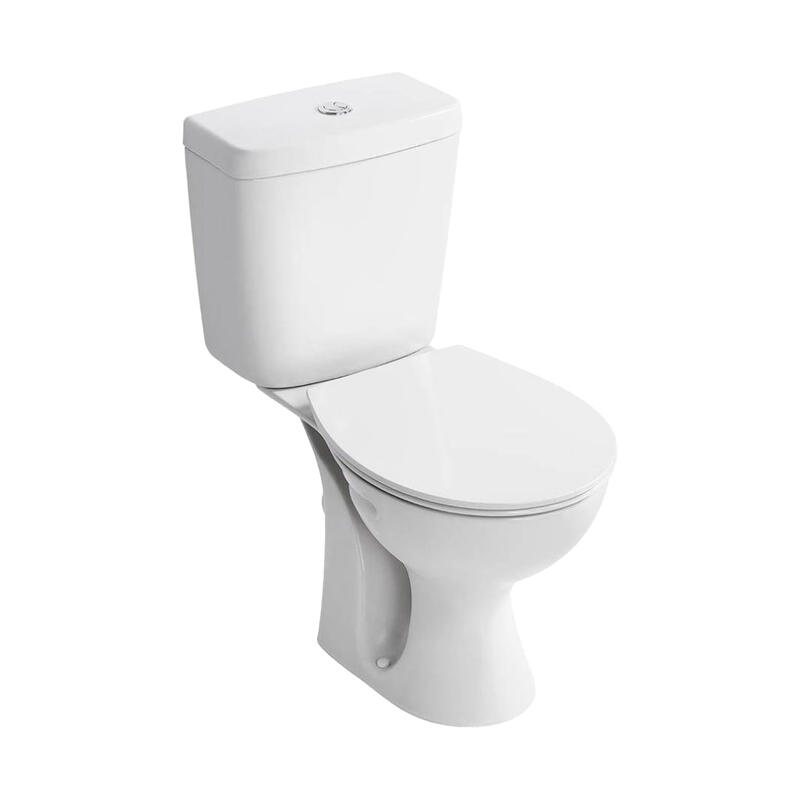 Armitage Shanks S21 Toilet Ptrap White Top Flush 6 Litre 1 Set  E896301 E896601