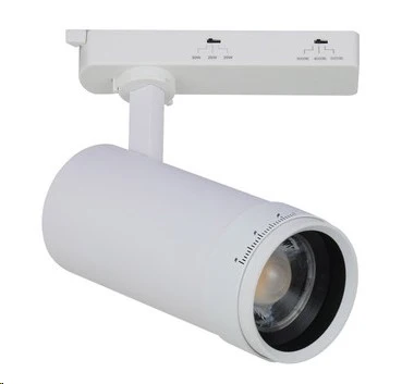 TRACK SWITCHABLE LIGHTING