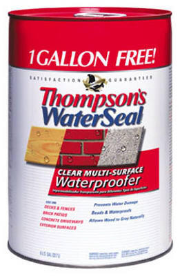 Thompson's Waterseal Multisurface Waterproofer Clear 1 6gal 24106