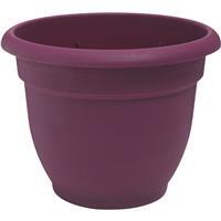 Bloem Ariana  Self Watering Planter 10 Inch  Passion Fruit 1 Each AP1029