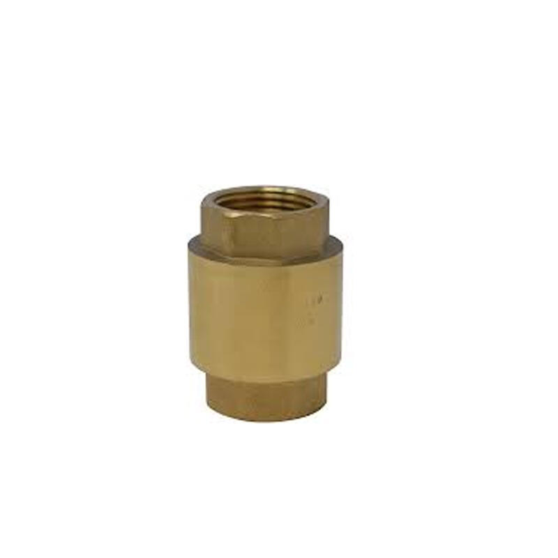 Cronex Check Valve 1/2 Inch Brass 1 Each CXP5541