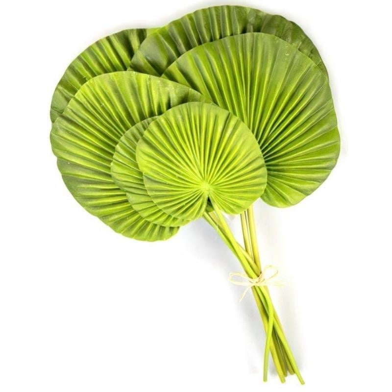 FAN PALM 40CM 6PCS