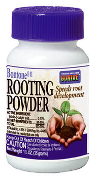 Bontone Root Powder 1.5oz 1 Each 925 705516: $20.22
