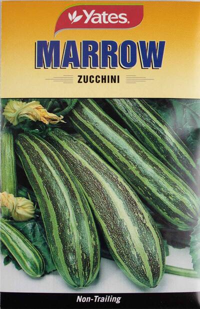  Yates Marrow Zucchini Seed  1 Each 33897 305771 VSA