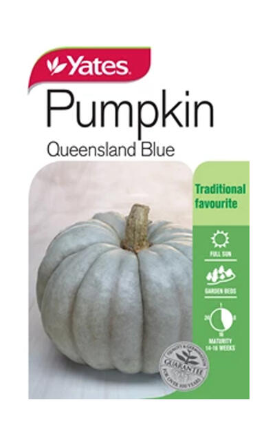  Yates Pumpkin  Queensland Blue 1 Each 33867 308123 VSA