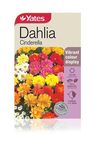  Yates Dahlia Cinderella  1 Each 34162 FSA: $3.78
