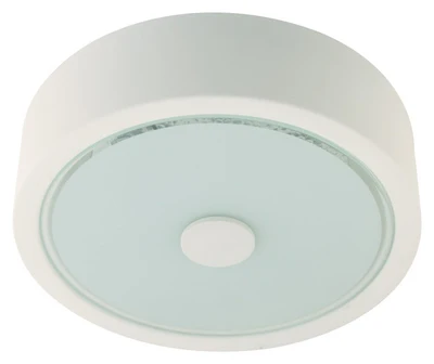 FLUSH MOUNT CEILING LIGHT 11