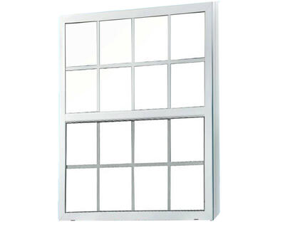 Oran Sash Window With Tint 48wx48h Aluminum White 1 Each