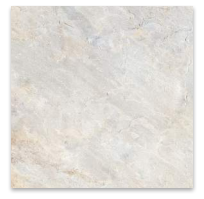 LUPIN MRE HD 20X20 TILE