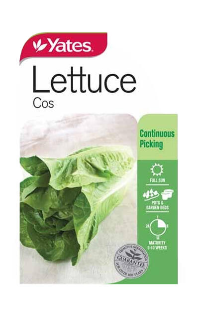  Yates Lettuce Cos 1 Each 33325
