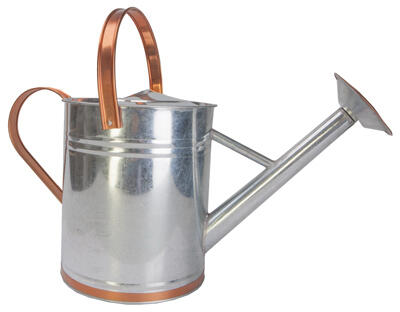 GALV WATERING CAN 2GAL