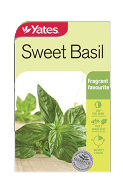  Yates Herbs Sweet Basil  1 Each 33664 304552 VSA