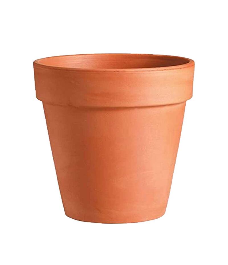  Deroma  Standard Clay Pot 10 Inch  1 Each M9510PZ