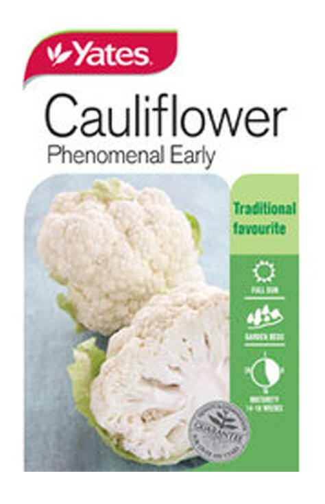  Yates Cauliflower Phenomenal  1 Each 31281