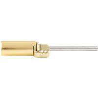  National  Hinge Pin Door Closer Brass 1 Each N208033
