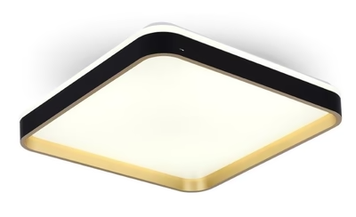 FLUSH MOUNT CEILING LIGHT