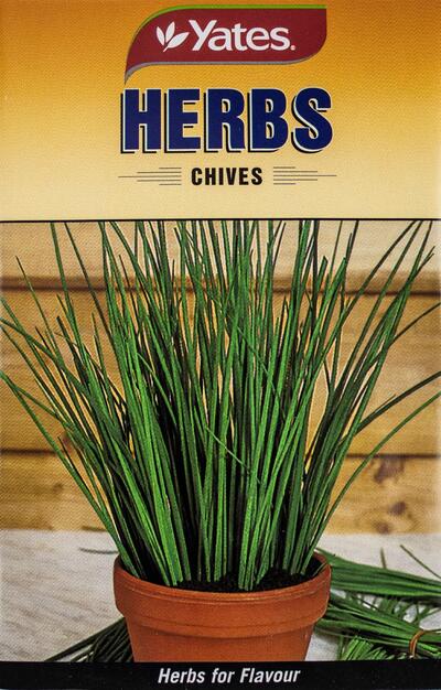  Yates Herbs Chive 1 Each 33634 VSA