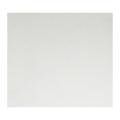 Parma Floor Tile 24 x 24 Cm White 1 Each 67ER1280E: $25.58