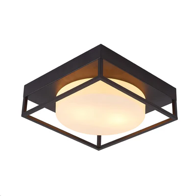 FLUSH MOUNT CEILING LIGHT E27